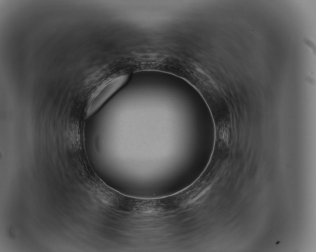 X0000094921252200711291304