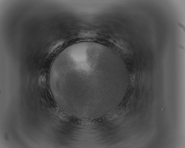 X0000094921254200711291304