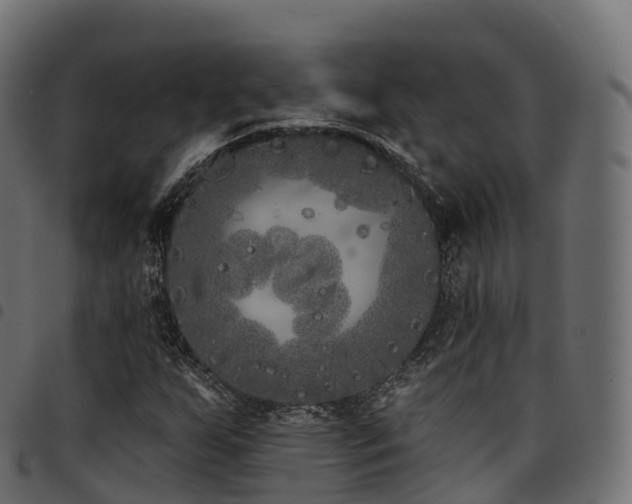 X0000094921255200711291304