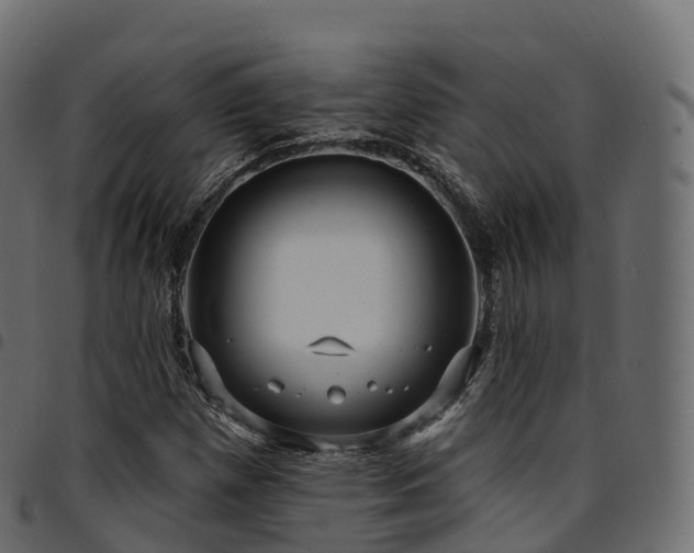 X0000094921257200711291304