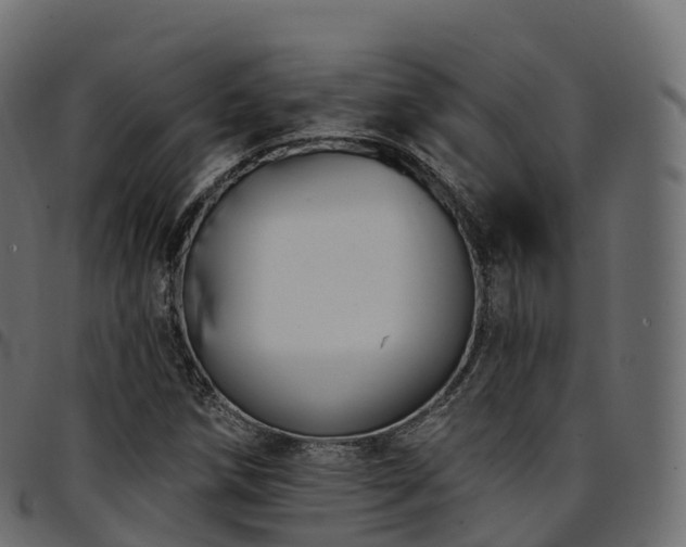X0000094921258200711291304