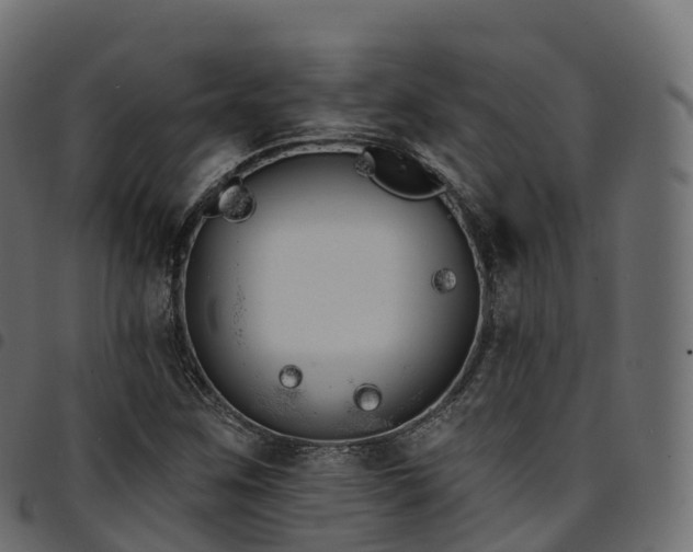 X0000094921259200711291304