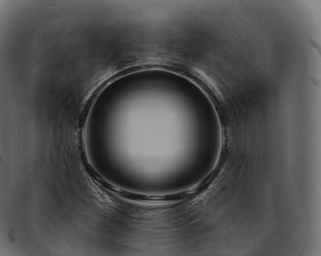 X0000094921260200711291304
