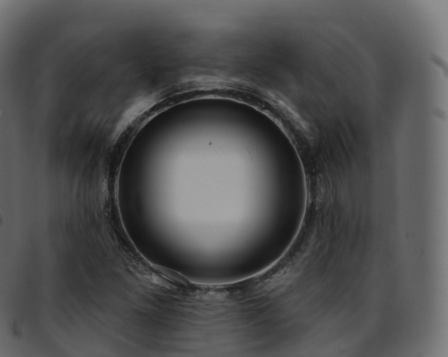 X0000094921261200711291304
