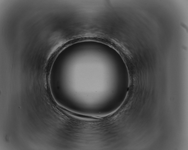 X0000094921262200711291304