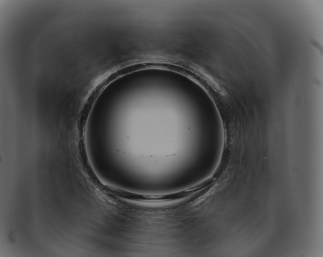 X0000094921264200711291304