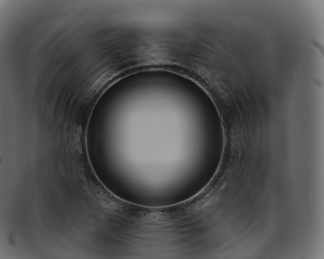 X0000094921265200711291304