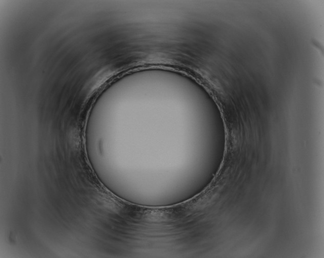 X0000094921266200711291304
