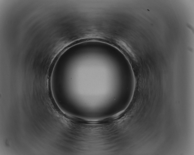 X0000094921268200711291304