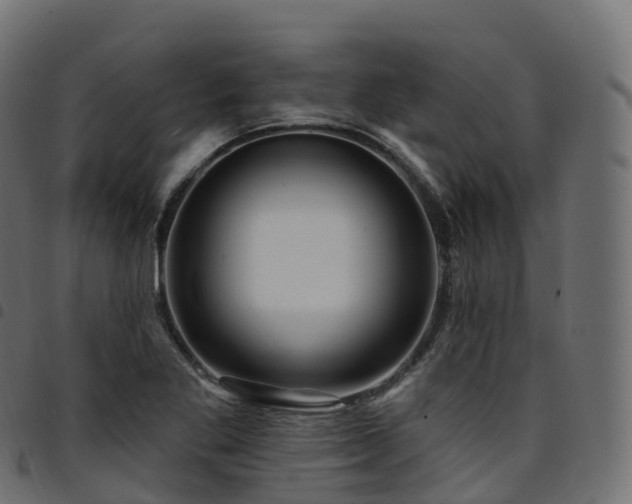 X0000094921269200711291304