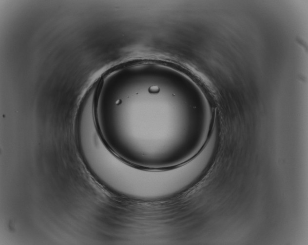 X0000094921272200711291304