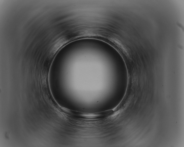 X0000094921273200711291304