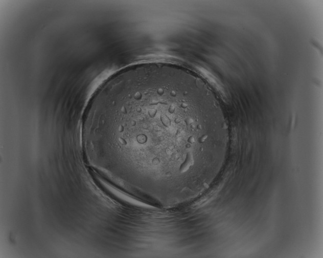 X0000094921275200711291304