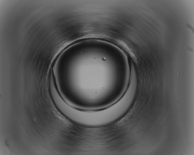 X0000094921276200711291304