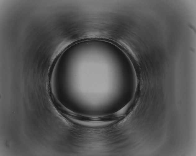 X0000094921277200711291304