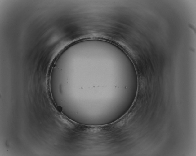 X0000094921278200711291304