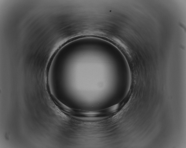X0000094921280200711291304