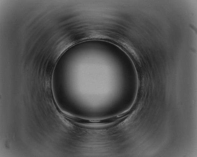 X0000094921281200711291304