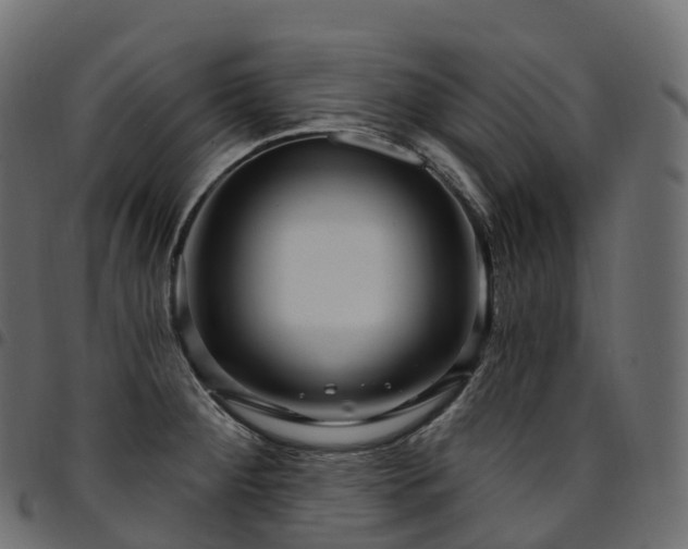 X0000094921284200711291304