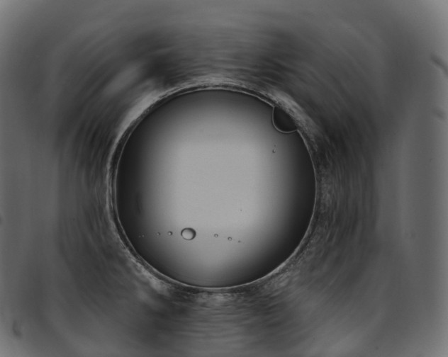 X0000094921286200711291304
