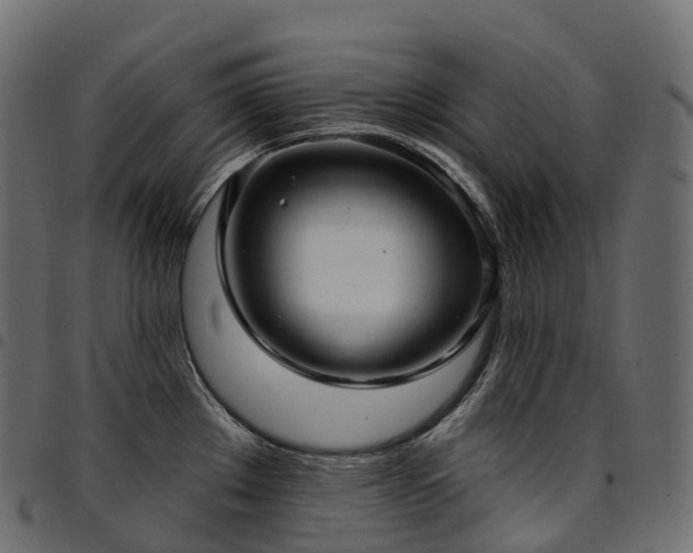 X0000094921289200711291304