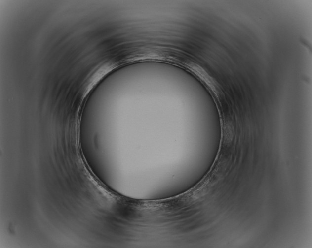 X0000094921290200711291304
