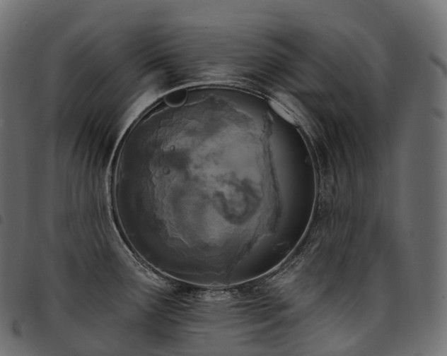 X0000094921291200711291304