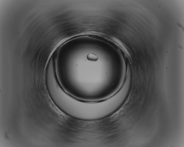 X0000094921292200711291303