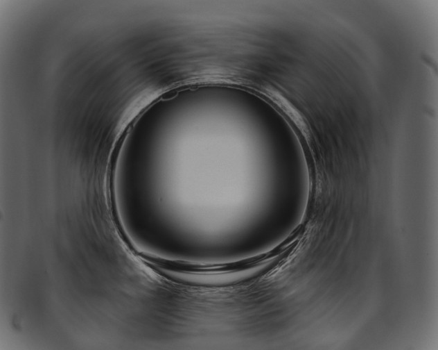 X0000094921293200711291303