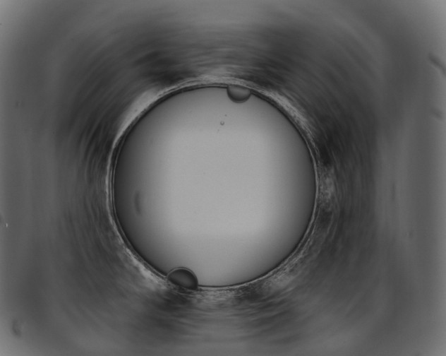 X0000094921294200711291303