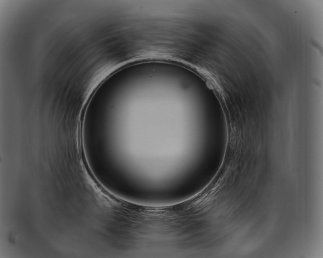 X0000094921295200711291303