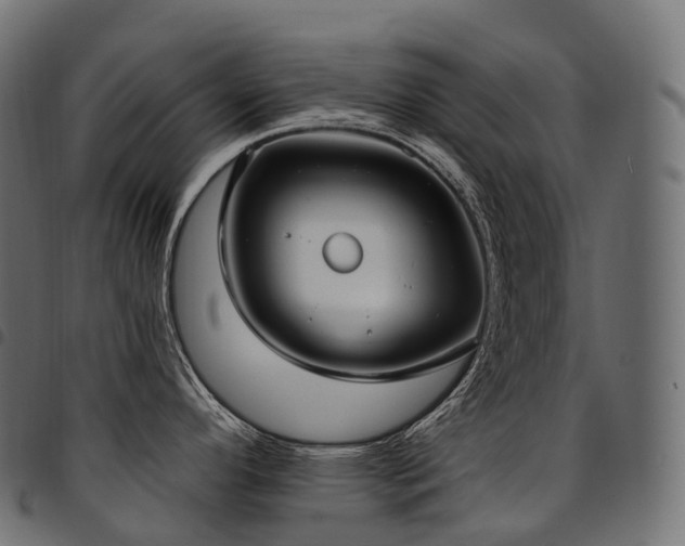 X0000094921296200711291303