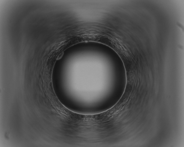 X0000094921297200711291303