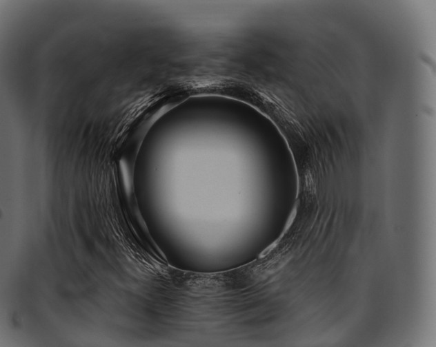X0000094921300200711291303