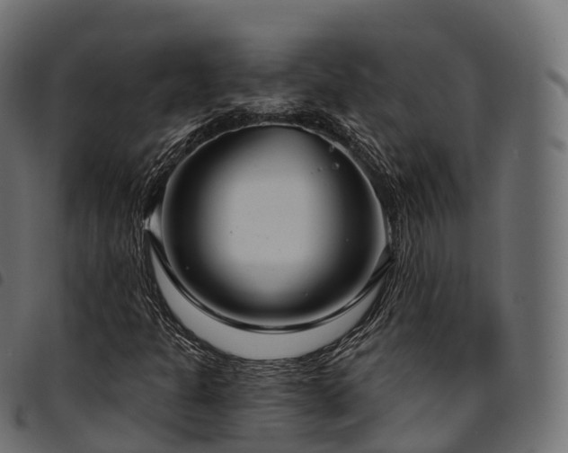 X0000094921301200711291303