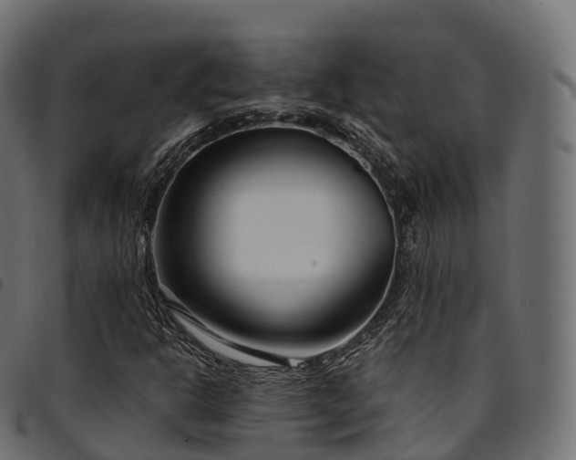 X0000094921302200711291303