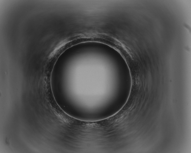 X0000094921304200711291303