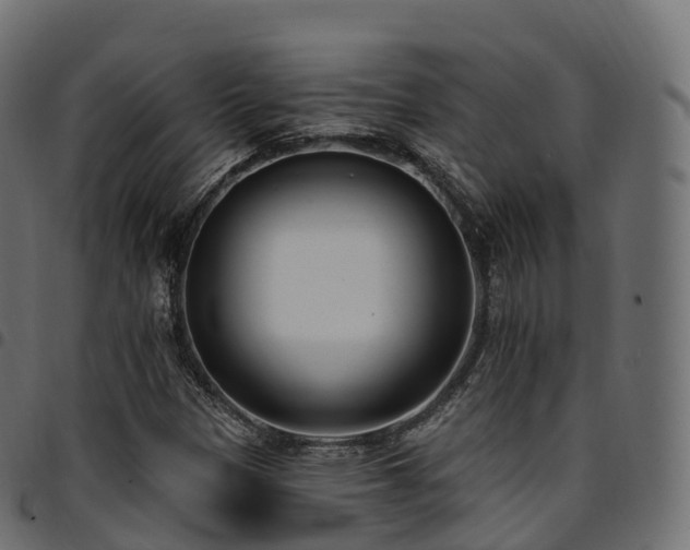 X0000094921305200711291303