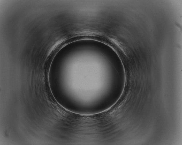 X0000094921307200711291303