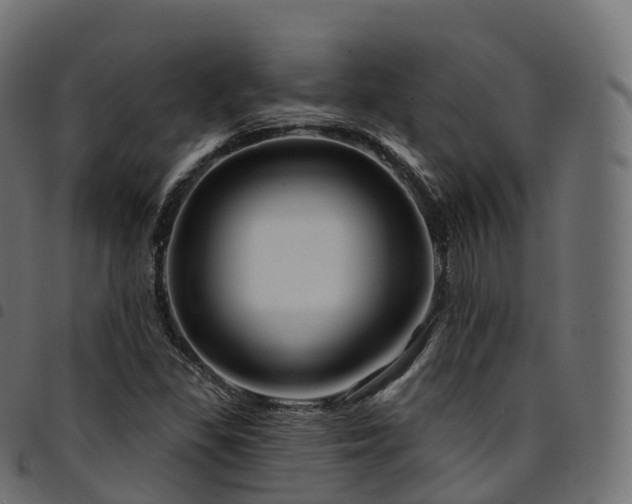 X0000094921309200711291303