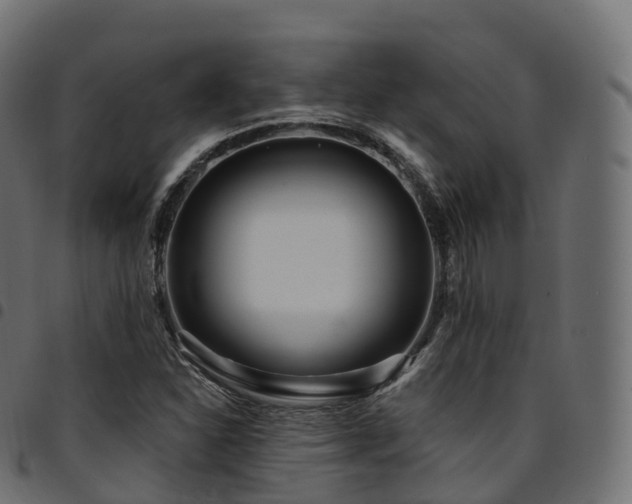 X0000094921310200711291303