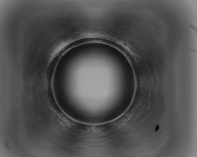 X0000094921311200711291303