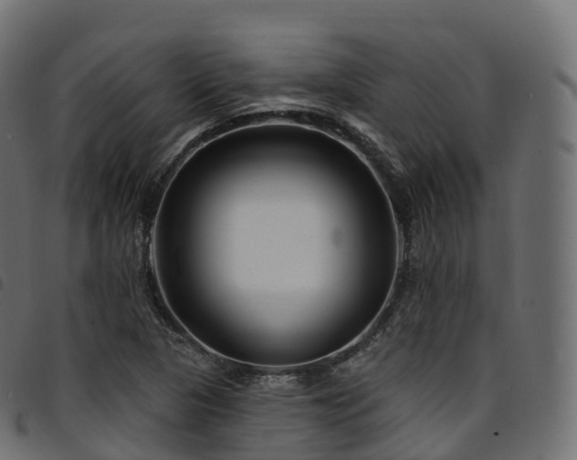 X0000094921313200711291303