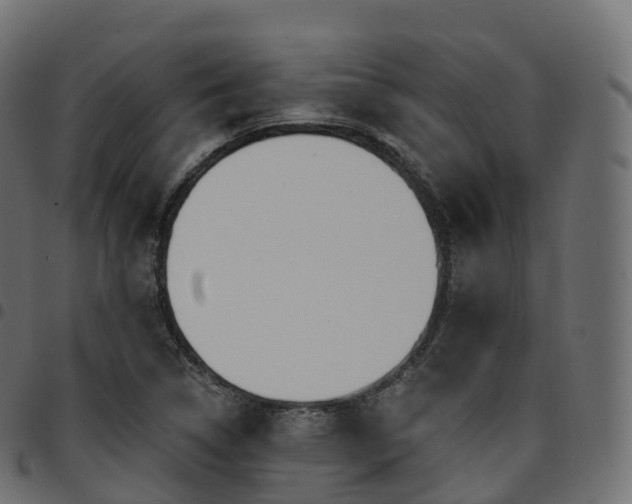 X0000094921314200711291303