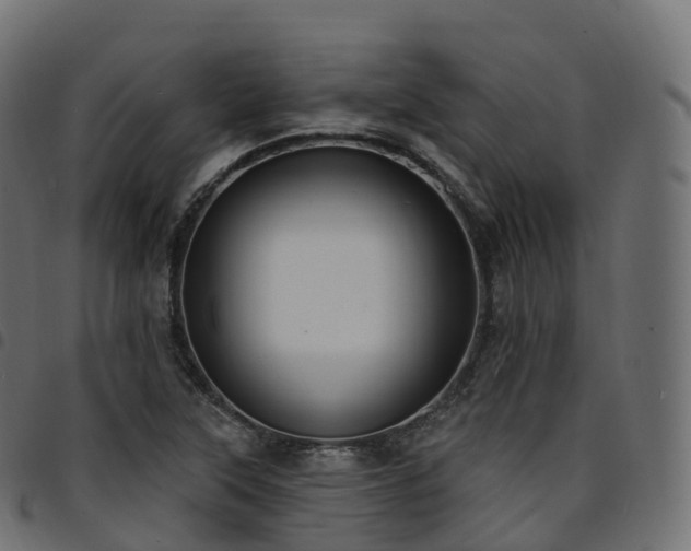 X0000094921315200711291303