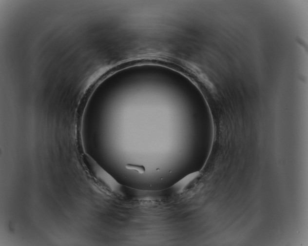 X0000094921316200711291303