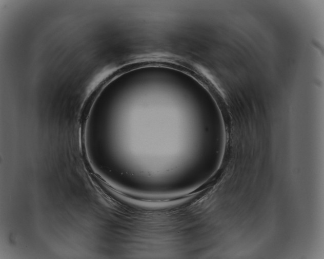 X0000094921320200711291303