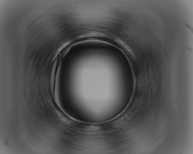X0000094921321200711291303