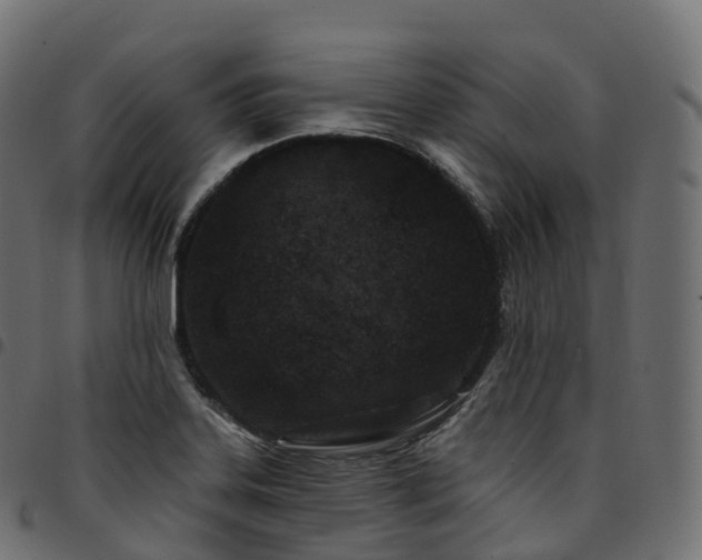 X0000094921323200711291303