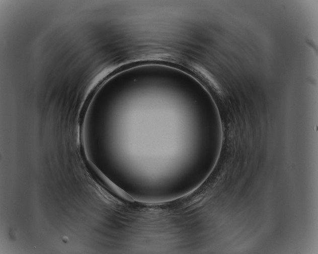 X0000094921324200711291303